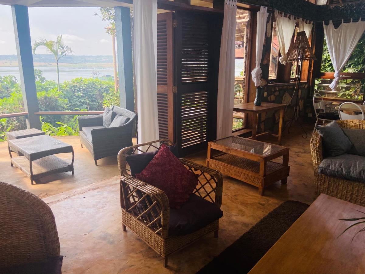 Homeonthenile جينجا المظهر الخارجي الصورة